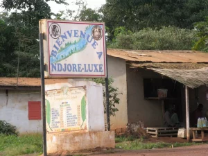 Comprendre la Chine-Cameroun : le cas du riz de Nanga Eboko