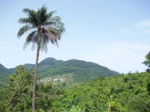 Paradoxe des milliardaires de l’Ouest Cameroun