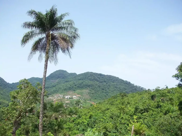 Paradoxe des milliardaires de l’Ouest Cameroun