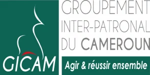 Fusion GICAM.ECAM Mensonges et manipulations déjouées, soutien majoritaire confirmé