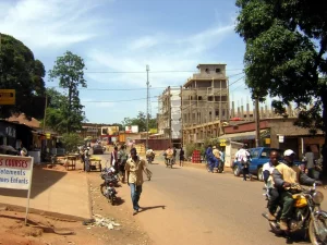 Développement local : Paul Biya met les conseillers régionaux au travail, le cas de l’Ouest