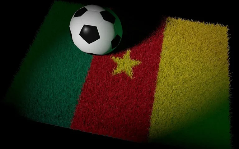 La Fecafoot recycle les journalistes sportifs camerounais