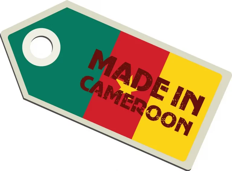 Le modèle de Tamale pour le made in Cameroun ?
