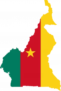 Cameroun comment le ministre des mines veut vendre le pays à 94 milliards FCFA !