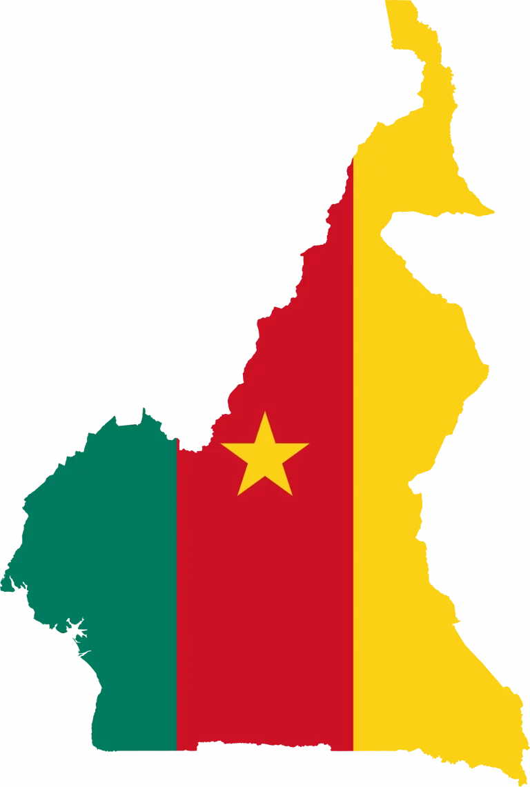 Cameroun : comment le ministre des mines veut vendre le pays à 94 milliards FCFA !